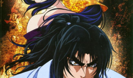 甲贺忍法贴动漫,隐秘世界的忍者传奇